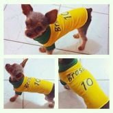 Camisa Do Brasil Para Cachorro Seu Cachorro Torcendo C/ Você